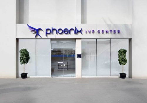PHOENIX.jpg