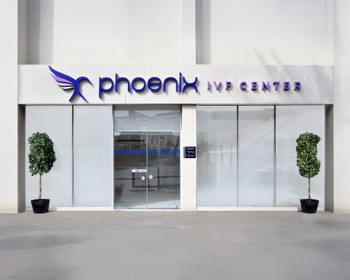 PHOENIX.jpg