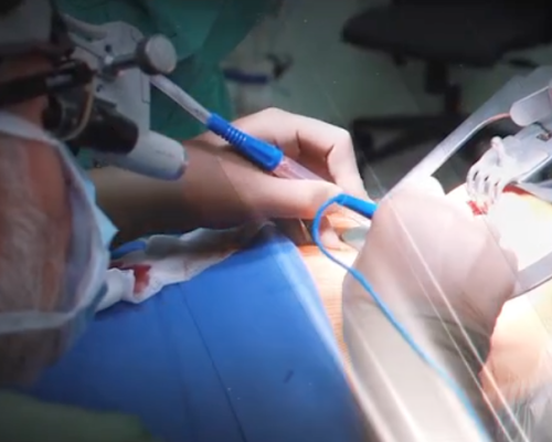 prof-dr-ahmet-yavuz-balci-private-practice-2