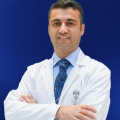 mehdi-deniz