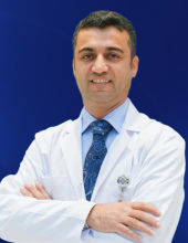 mehdi-deniz
